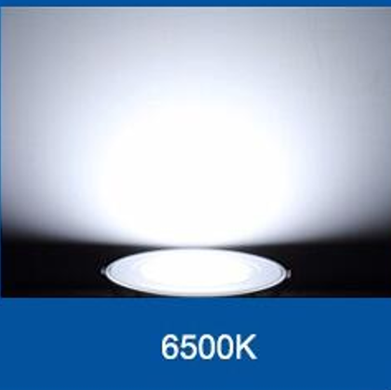 Nhiệt độ màu đèn Downlight âm trần LED Philips Eridani DL190B LED8 D125 10W 865 WH SNI